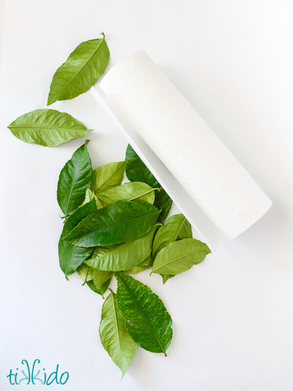 Easy Real Leaf Table Runner Tutorial